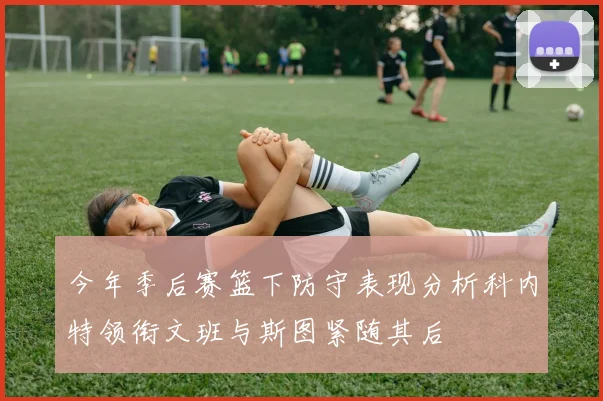 今年季后赛篮下防守表现分析科内特领衔文班与斯图紧随其后
