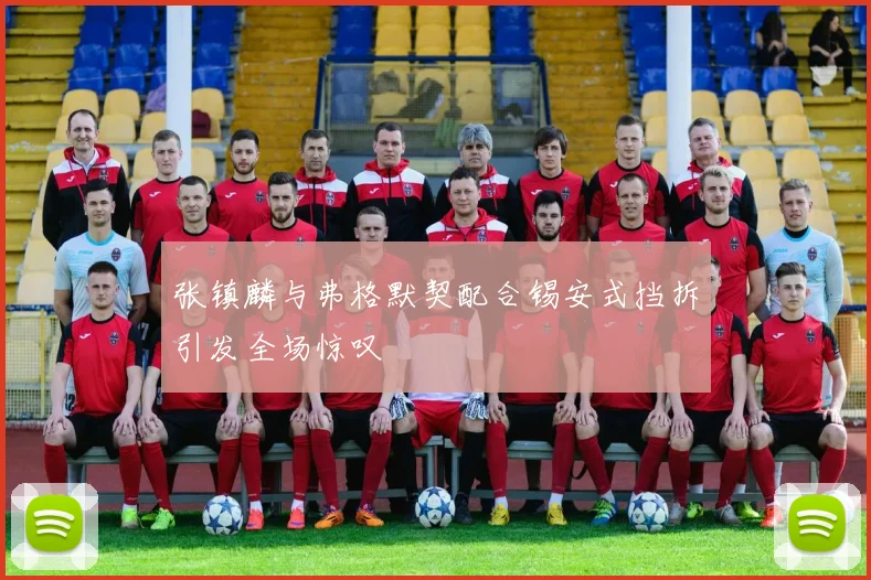 张镇麟与弗格默契配合锡安式挡拆引发全场惊叹
