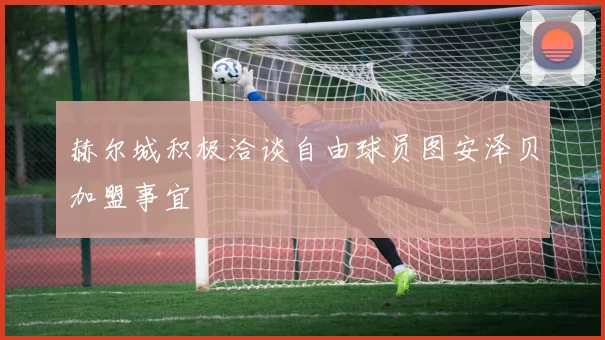 赫尔城积极洽谈自由球员图安泽贝加盟事宜